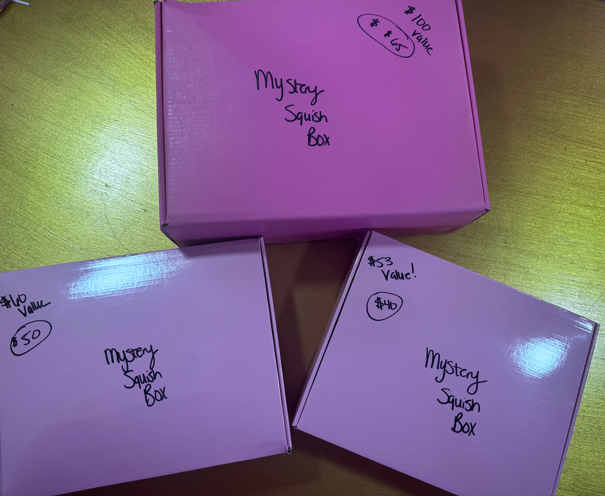 NEW Squishy Mystery Box