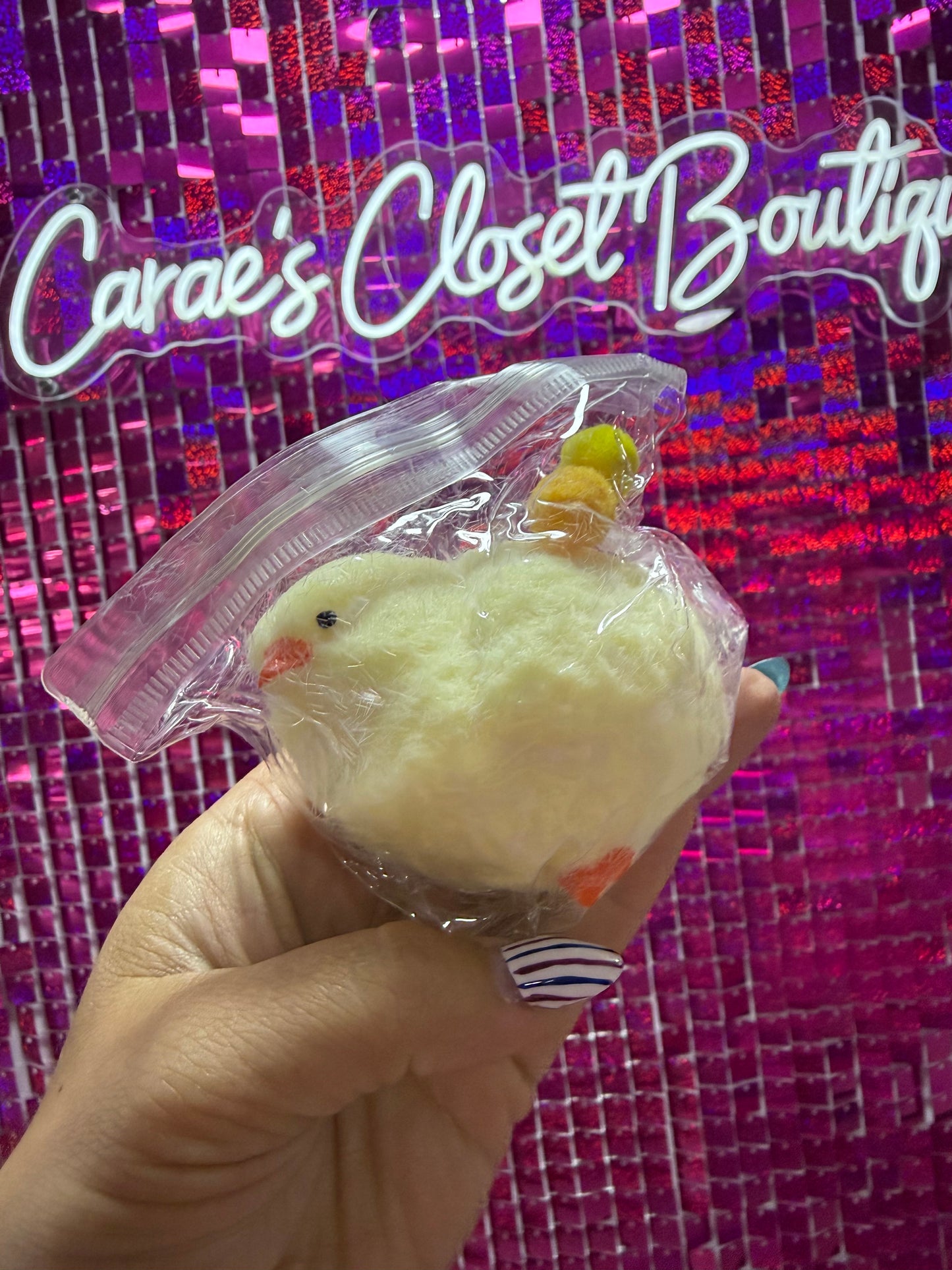 Chick Squishy