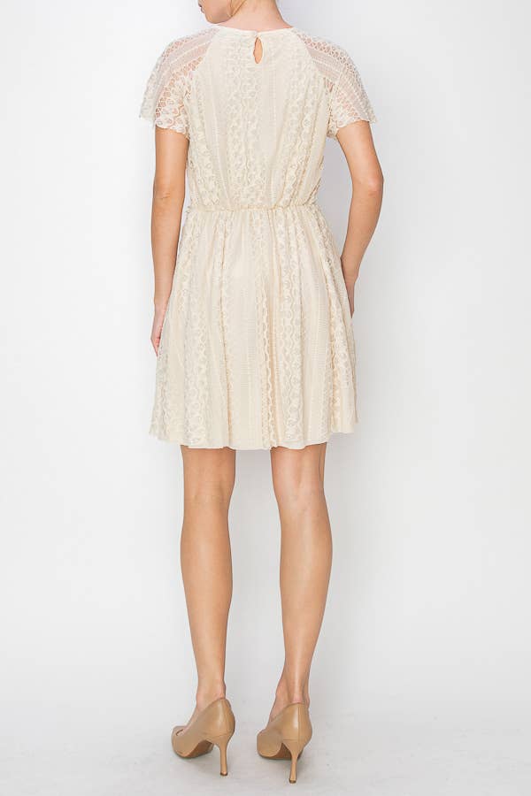 ORIGAMI Lined Lace Short Sleeve Dress