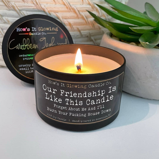 Our Friendship Is Like This Candle... | Fun 100% Soy Candle
