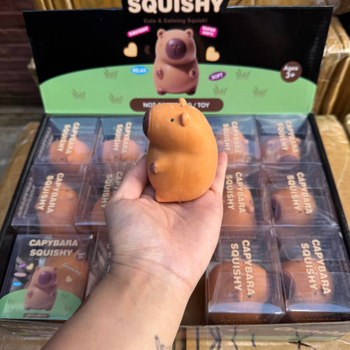 Crunchy Capybara Squishy