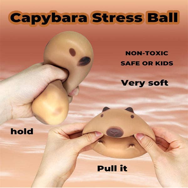 Capybara Squishy