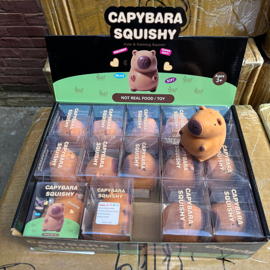 Crunchy Capybara Squishy
