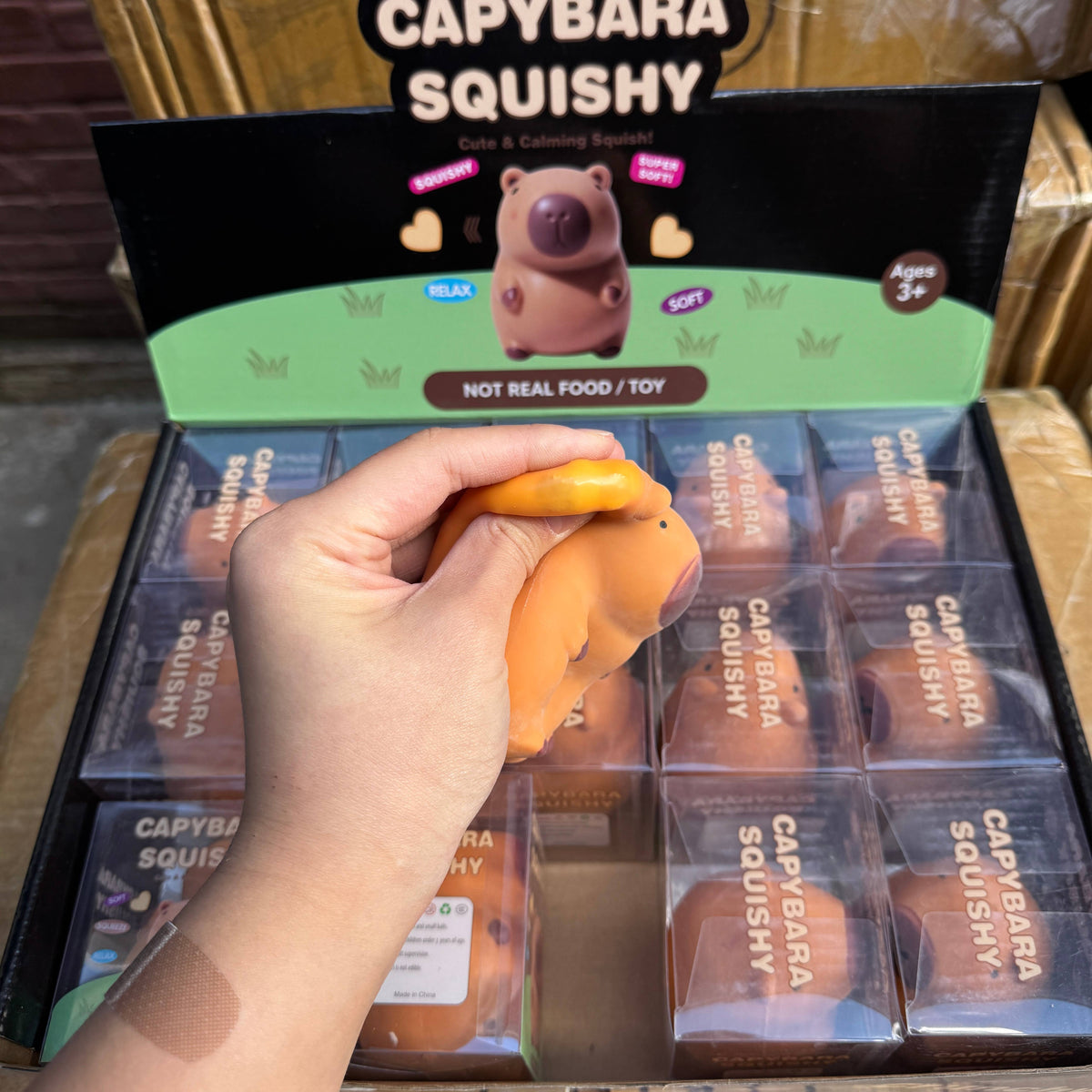 Crunchy Capybara Squishy
