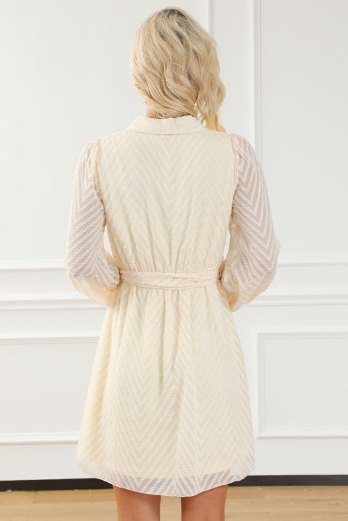 Sheer LS Cream Dress