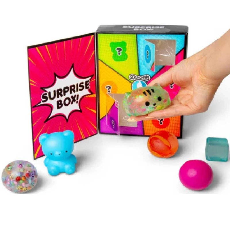 Scrunchems Surprise Box – 6 Compartment Sensory Squishy PREORDER DEC 5th