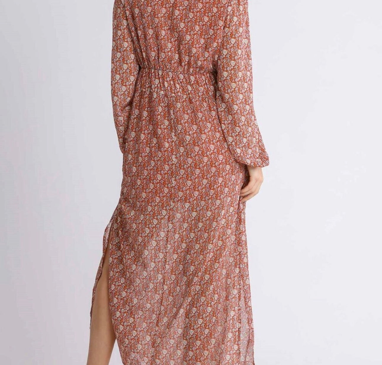 Bloom Spring Umgee Dress