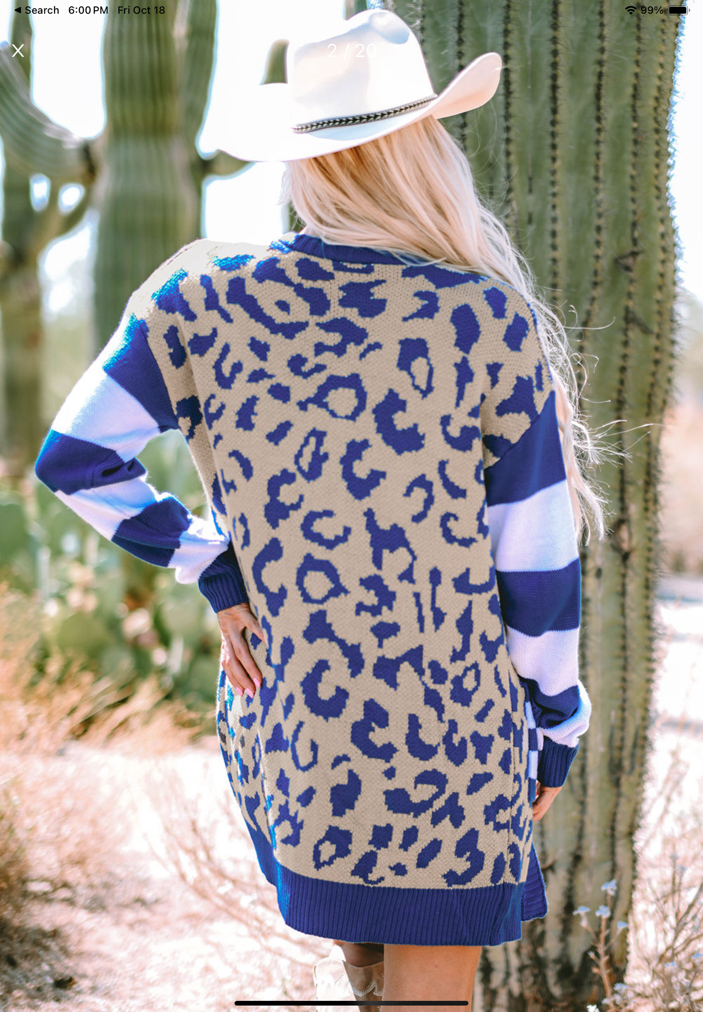 Blue Cheetah Cardigan