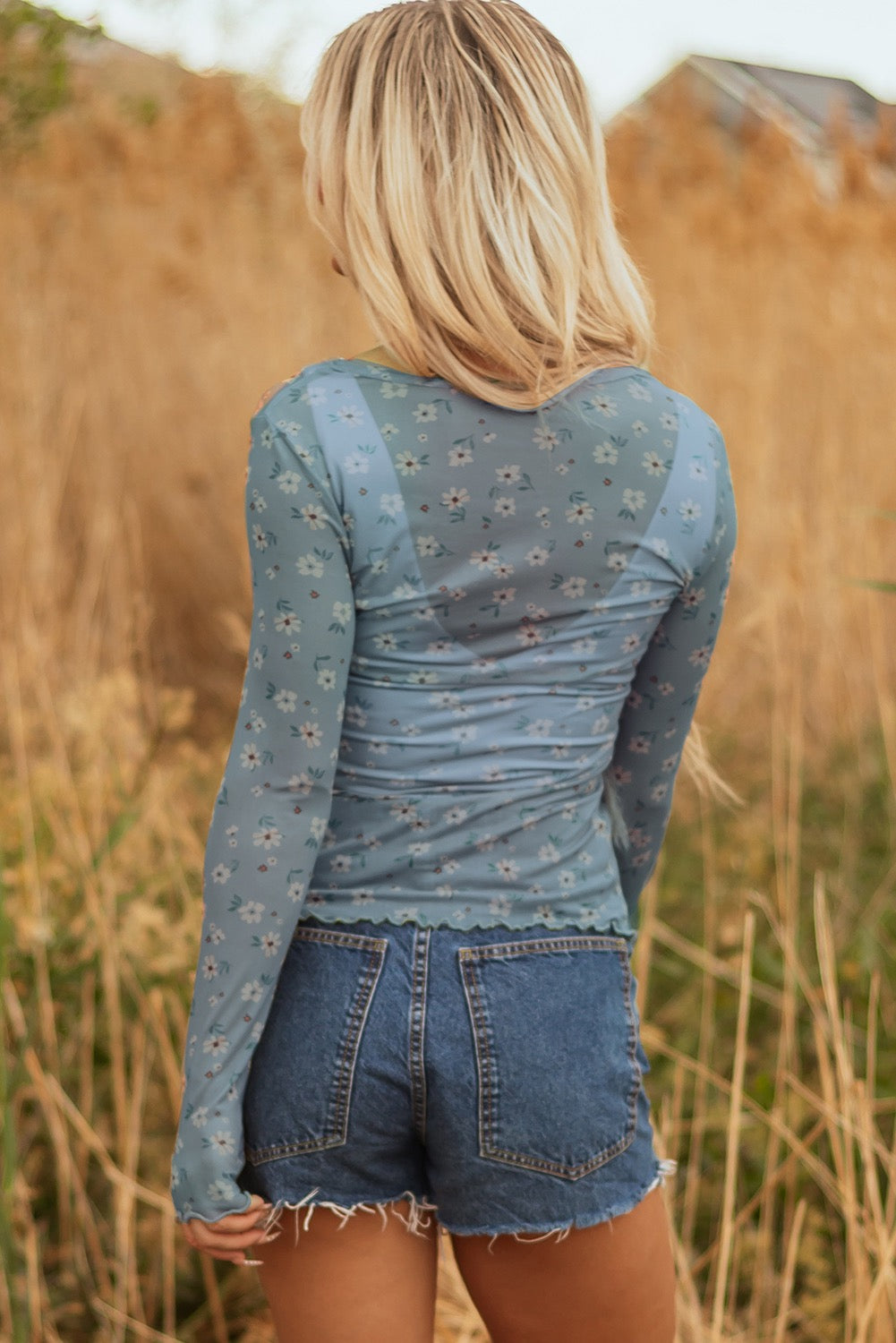 Sheer Daisy Blue Top