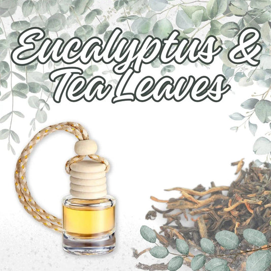 Eucalyptus & Tea Leaves Car Home Fragrance Diffuser All Natu