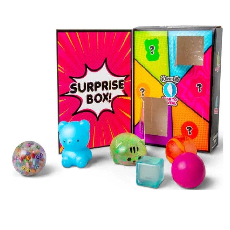 Scrunchems Surprise Box – 6 Compartment Sensory Squishy PREORDER DEC 5th
