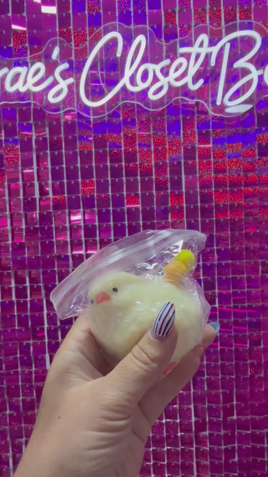 Chick Squishy